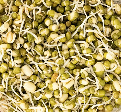 Mung Beans